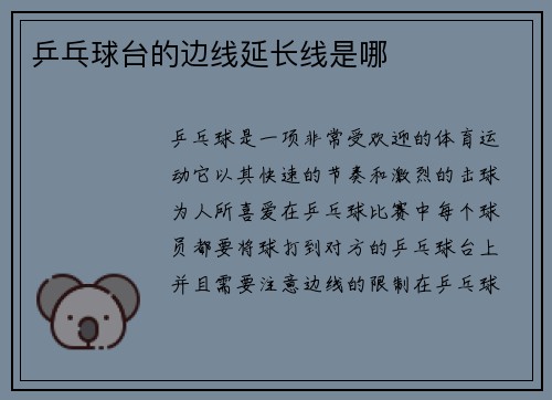 乒乓球台的边线延长线是哪